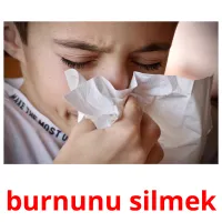 burnunu silmek picture flashcards