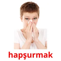 hapşurmak picture flashcards