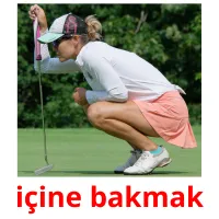 içine bakmak picture flashcards