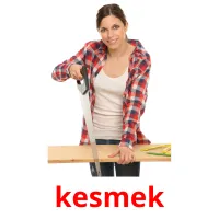 kesmek picture flashcards