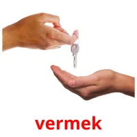 vermek picture flashcards