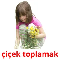 çiçek toplamak picture flashcards