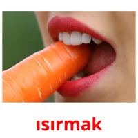 ısırmak picture flashcards