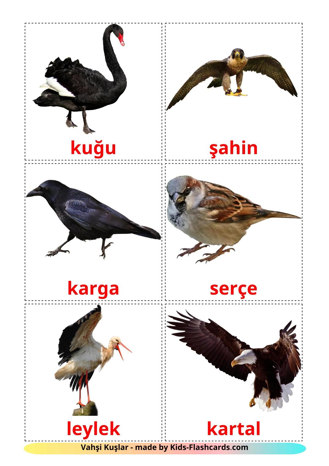 Wild birds - 19 Free Printable turkish Flashcards 