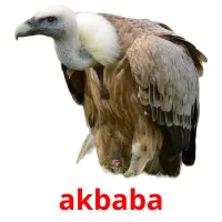 akbaba picture flashcards