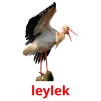 leylek picture flashcards