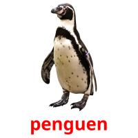 penguen card for translate