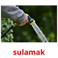 sulamak picture flashcards