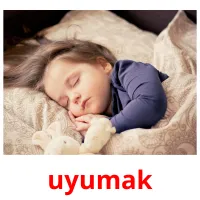 uyumak picture flashcards