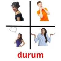 durum picture flashcards