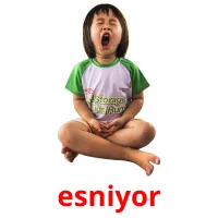 esniyor picture flashcards