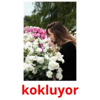 kokluyor picture flashcards