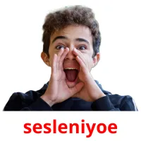 sesleniyoe picture flashcards