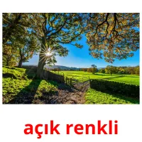 açık renkli picture flashcards