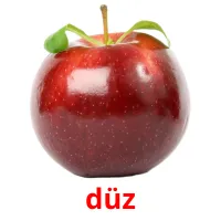 düz picture flashcards