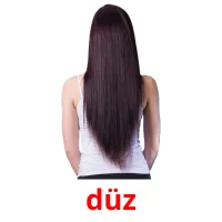 düz picture flashcards