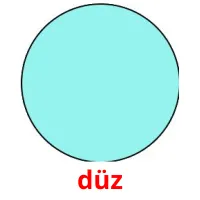 düz picture flashcards