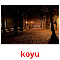 koyu picture flashcards