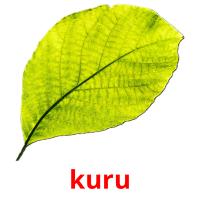 kuru card for translate