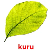 kuru picture flashcards