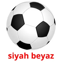 siyah beyaz picture flashcards