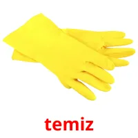 temiz picture flashcards