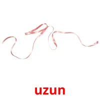 uzun picture flashcards