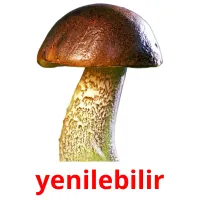 yenilebilir picture flashcards