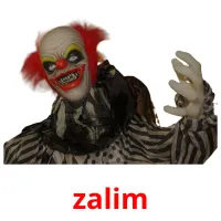 zalim picture flashcards