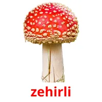 zehirli picture flashcards