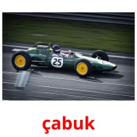 çabuk picture flashcards