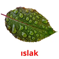 ıslak picture flashcards