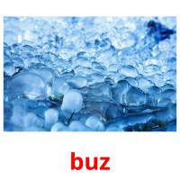 buz picture flashcards
