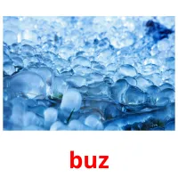 buz picture flashcards