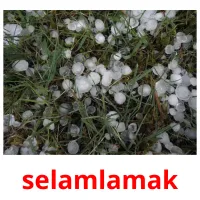 selamlamak picture flashcards