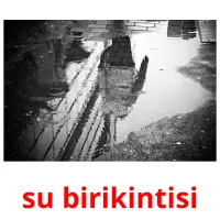 su birikintisi picture flashcards