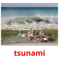 tsunami picture flashcards