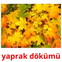 yaprak dökümü picture flashcards