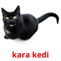 kara kedi picture flashcards