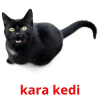 kara kedi карточки энциклопедических знаний