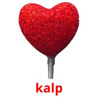 kalp picture flashcards