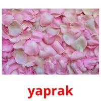 yaprak picture flashcards