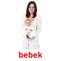 bebek picture flashcards