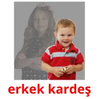 erkek kardeş picture flashcards