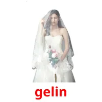 gelin picture flashcards