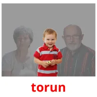 torun picture flashcards