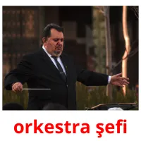 orkestra şefi Tarjetas didacticas