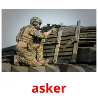 asker picture flashcards