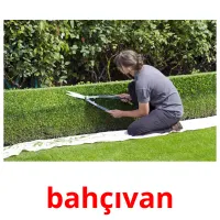 bahçıvan picture flashcards