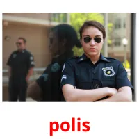 polis picture flashcards